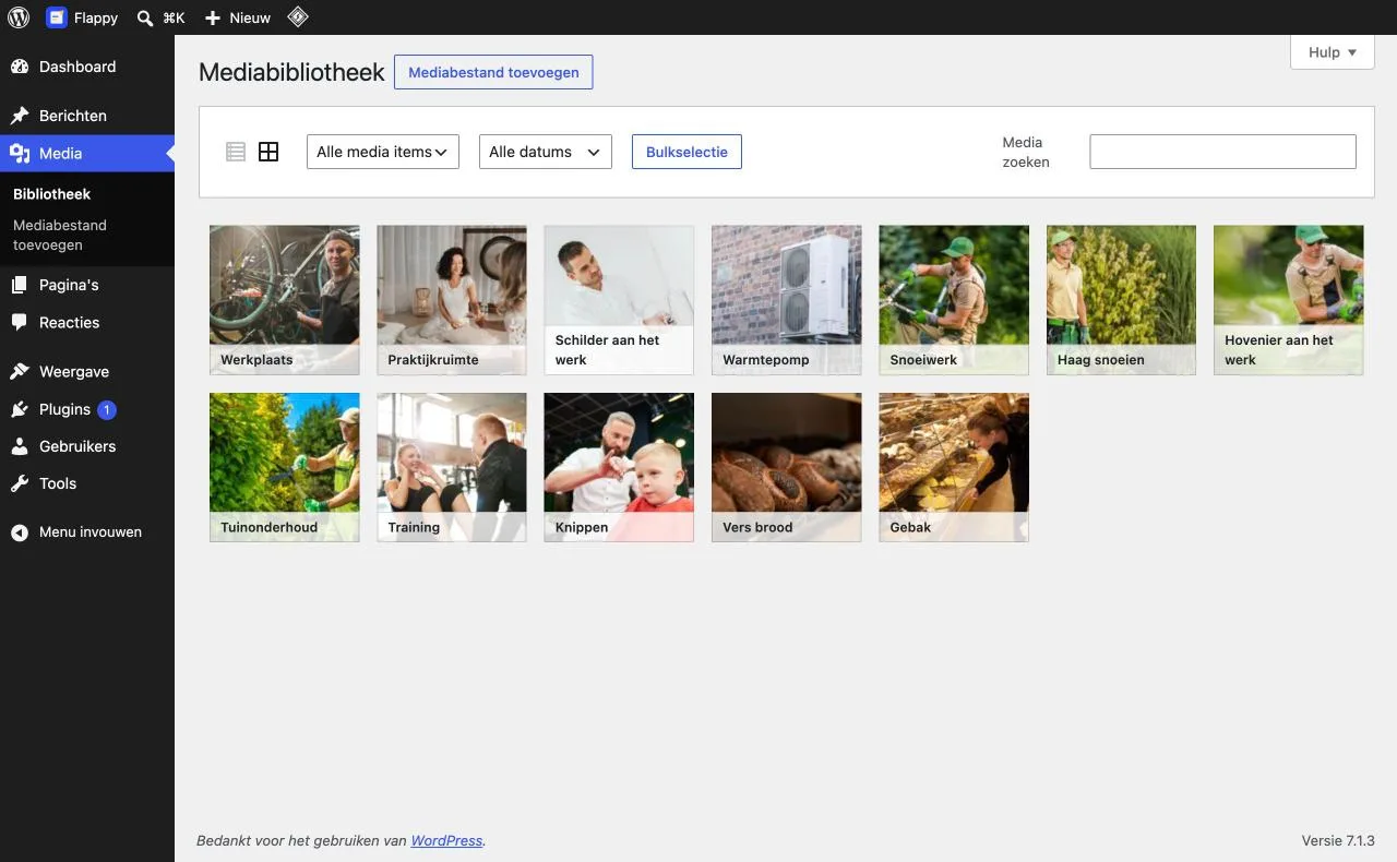 De mediabibliotheek van WordPress met foto's van een voorbeeldsite